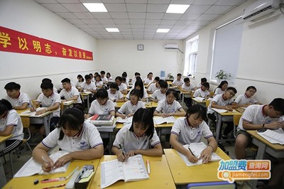 奥奔文化教育,创业奥奔文化教育让您赚大钱!
