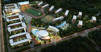 与城市共进阶 预见庐州北未来蝶变