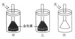 某生物兴趣小组为探究绿色植物的 光合作用和呼吸作用,设计了如下实验装置.请分析作答: (1) 若要探究光是光合作用的必要条件.应该选择的实验装置组合是 .若要探究氧气是由绿色植物在光下产生的.应该选择的实验装置组合是 .(2) 甲装置试管中收集的气体可以使带火星的卫生香复燃.说明绿色植物的光合作用释放出 .(3) 有同学利用甲装置进行了进一步探究,实验题目和参考答案-