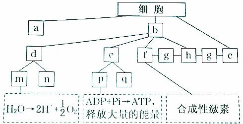 如图为植物光合作用强度随光照强度变化的坐标图.已知该植物光合作用和细胞呼吸最适温度分别为25 和30 .下列叙述不正确的是 a.c点atp的合成大于水解.有机物积累b
