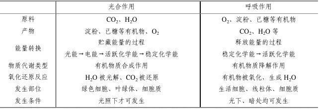 植物生产与环境教案(第6章)