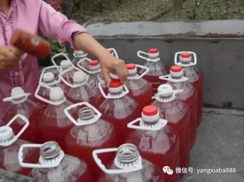 光合细菌在水产养殖上的妙用,您都知道