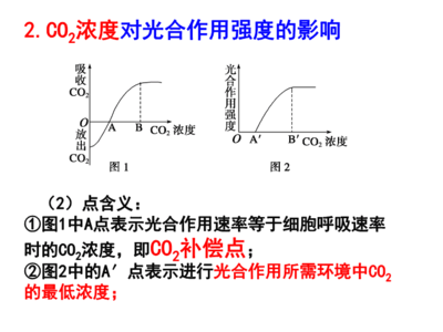 影响光合作用强度的环境因素课件.ppt