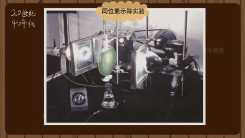 光合作用的原理 农谚里的智慧