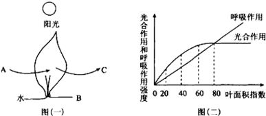 农业生产中,在保证水 肥等充足的条件下,要让农作物最大限度地利用太阳光能,提高单位面积的产量.图