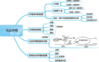 生物大牛出手,还不赶紧得A+