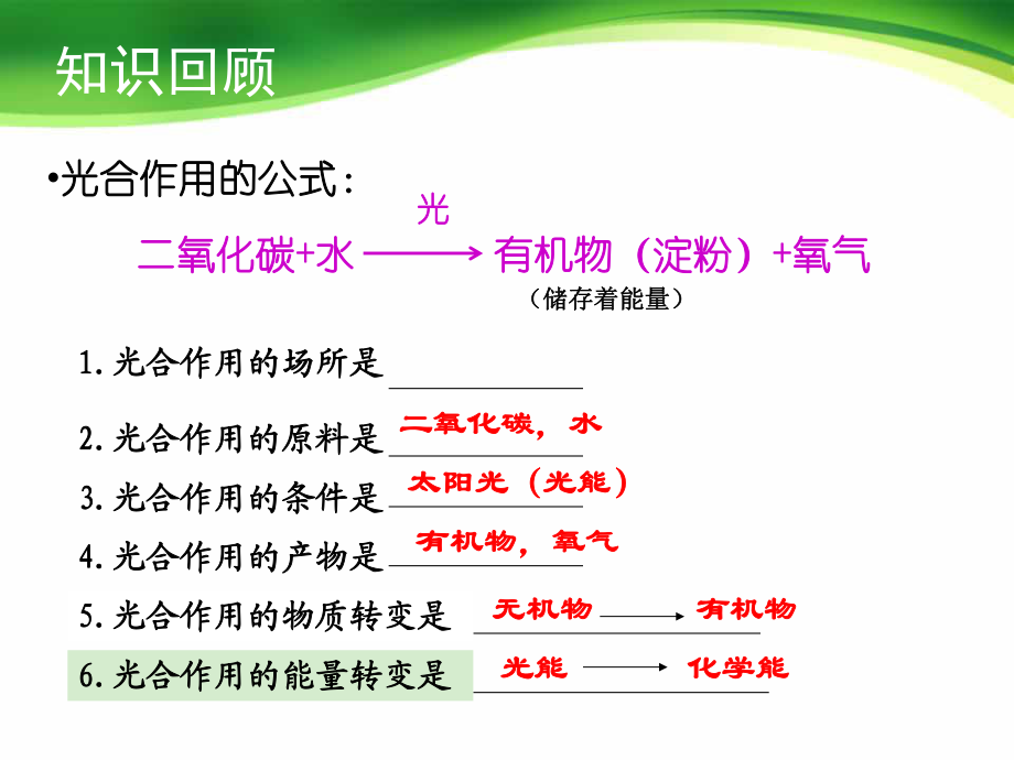22绿色植物的呼吸作用