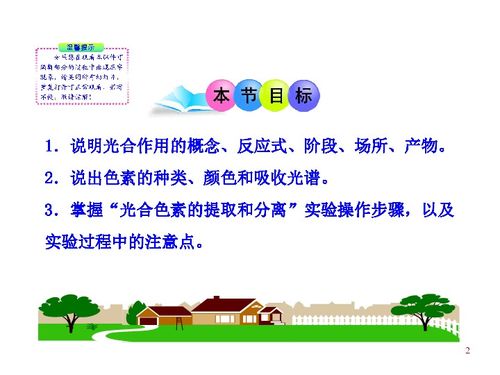 第三章 第五节 第一课时 光合作用概述 叶绿素和其他色素 浙科版必修1 浙江专用 下载 生物