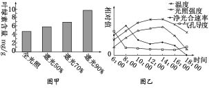长郡暑假作业 作业11 光合作用的过程及影响因素 二