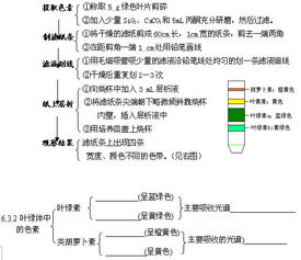 高考生物学知识要点的自我梳理 二