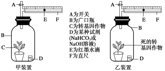 探究环境因素对光合作用强度的影响实验设计,巧用一个装置完成光合作用和呼吸作用相关实验