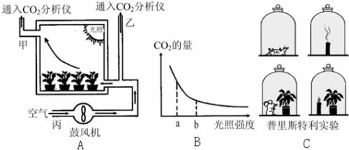 我们可以利用如图a所示装置来比较植物光合作用强度和呼吸作用强度.已知其他条件适宜,请分析回答 1