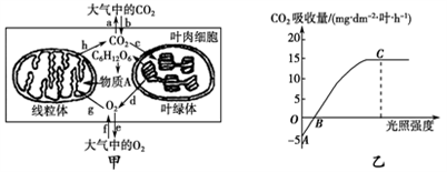 小麦植株进行光合作用和呼吸作用的最适温度分别为25℃和30℃。下图甲为小麦叶肉细胞中的部分代谢示意图;图乙是在CO2浓度一定、环境温度为25℃、不同光照强度条件