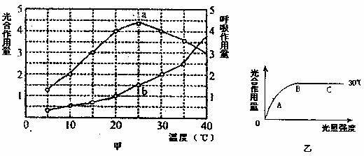 52.下图甲图中.a曲线表示在一定光照强度.不同温度条件下.某植物的光合作用量(单位时间内同化的CO2量),b曲线表示同等条件下的呼吸作用量(单位时间内释放的CO2量).乙图表示的是该植物在30℃条件