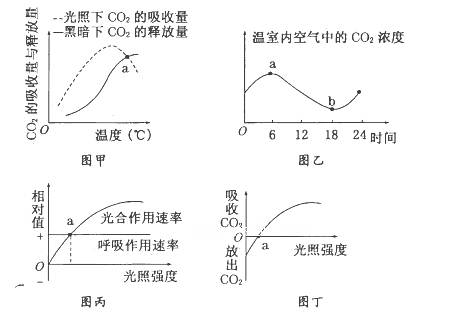 某校生物兴趣小组以玉米为实验材料,研究不同条件下光合作用速率和呼吸作用速率,绘制了如甲 乙 丙 丁所示的四幅图 除哪幅图外,其余三幅图中 a 点都可表示光合作用速率与呼吸作用速率相等