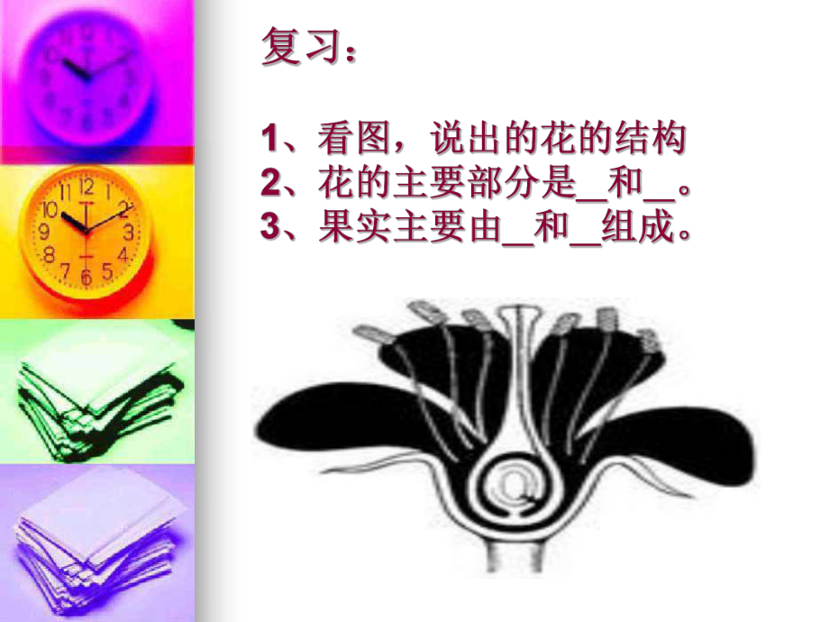 苏教版61 植物光合作用的发现