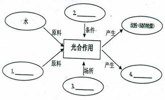 如图甲表示春季晴天某密闭大棚内一昼夜co2浓度的变化,图乙曲线a表示某种植物在20 co2浓度为0.03 的环境中随着光照强度的变化光合作用合成量的变化,在b点时改变条件