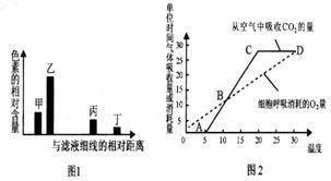下列图1表示利用大豆幼苗的绿叶进行色素提取和分离实验的结果,图2表示温室中该幼苗的光合速率 呼吸速率随温度变化的曲线 据图分析错误的是 a.甲 乙主要吸收蓝紫光和红光