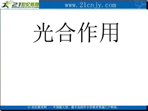 生物 3.5 光合作用 2 浙科版必修1 下载 生物