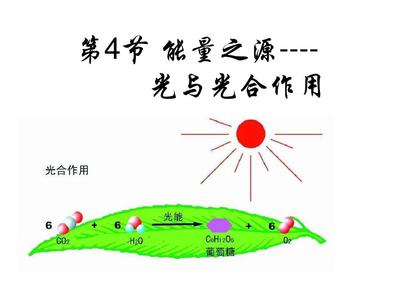 第4节 能量之源--光与光合作用公开课PPT_word文档在线阅读与下载_无忧文档