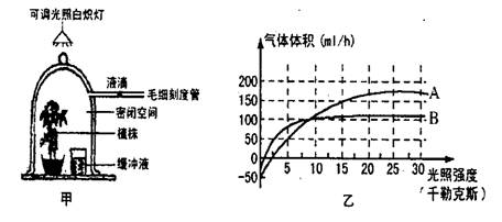 下图为在一定条件下研究光照强度对植物光合作用的影响的变化曲线,回答下列问题 青夏教育精英家教网