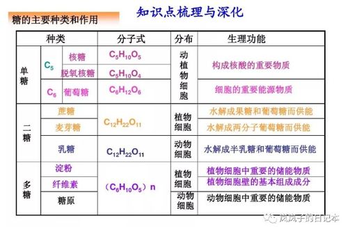 岚岚子的保命小课堂 第2期 糖