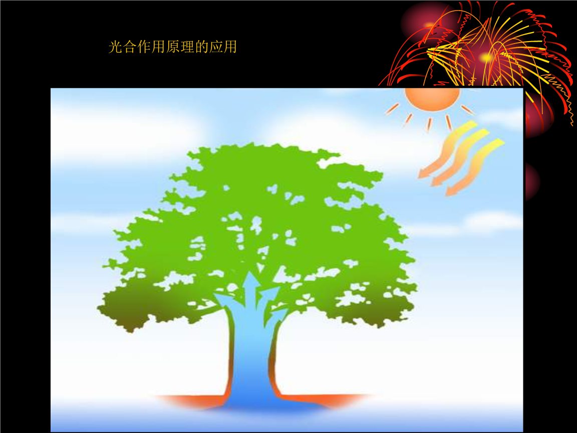 净光合速率的三种表示方法
