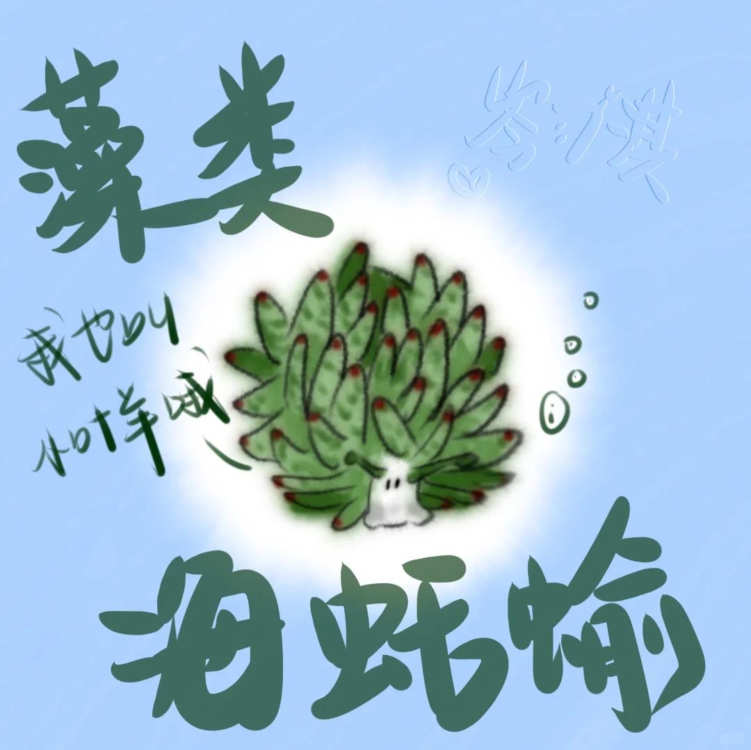 叶羊:微型光合作用的奇迹