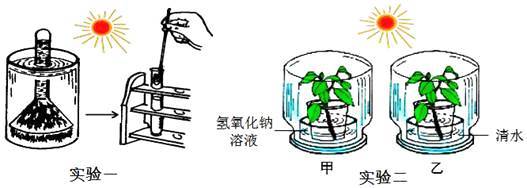 某学校生物科技活动小组的同学们对“环境因素对光合作用强度的影响”,设计了如下A、B两组实验: