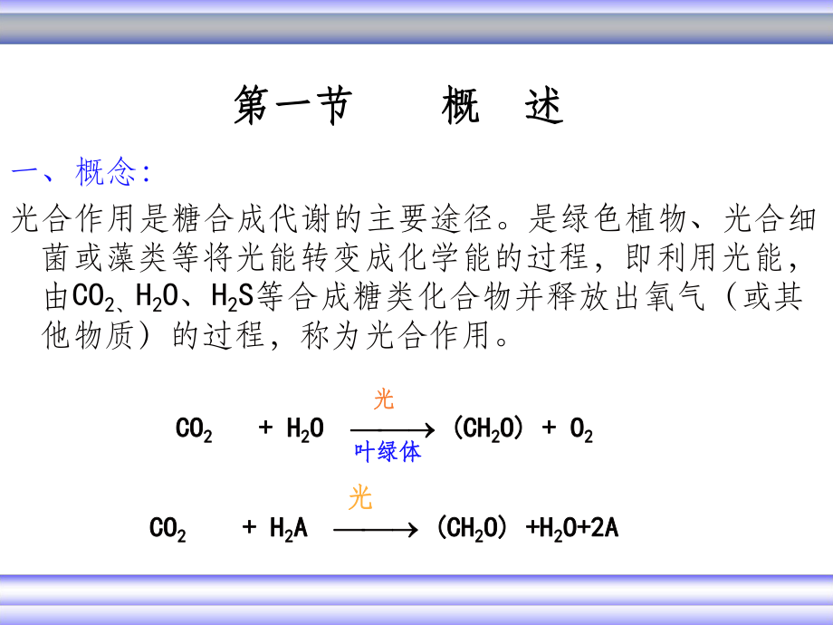 生物化学视角下的光合作用