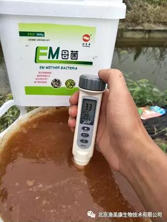 pH值对水产养殖中光合作用的影响与意义