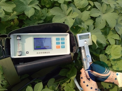 光合作用测定仪 助力植物光合效率研究的先进工具