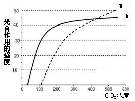 光合作用与CO₂浓度关系分析 常见误区辨析