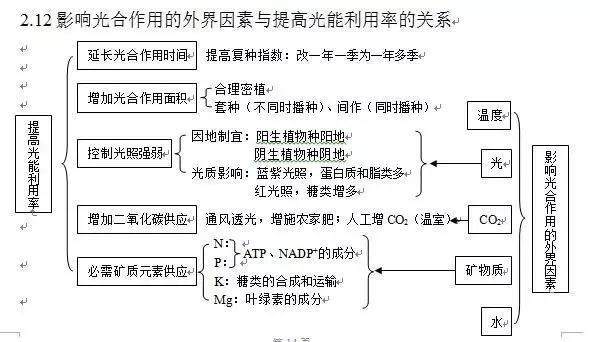 详解光合作用，轻松掌握高中生物知识点