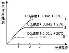 二氧化碳浓度、光照强度和温度对植物光合作用强度的影响分析