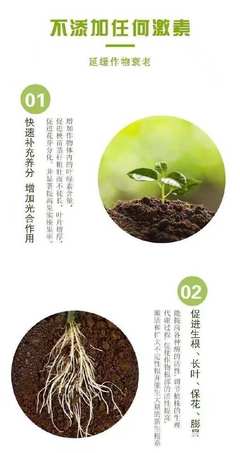 青菜专用叶绿素叶面肥 提升光合作用，强健植株的全方位解决方案