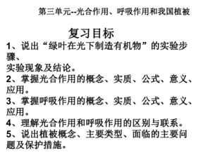 光合作用 中考专题复习核心知识点解析