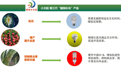 聚焦反季高效栽培，科技赋能海南火龙果产业——2020海南火龙果反季节种植管理研讨会圆满举行