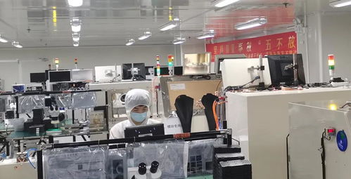 携手并进，共谱华章——瑞谷光网与华为合作的质量绩效与体系建设双丰收