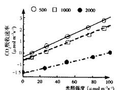 弱光环境下CO₂浓度提升无法增强光合作用的原因探究